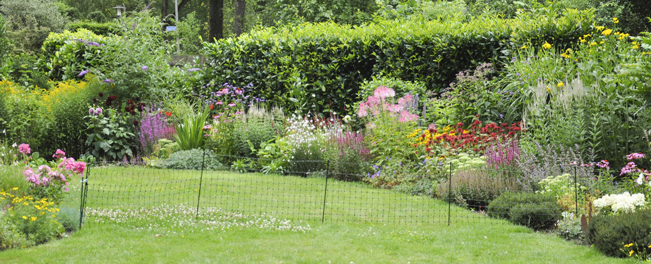 vasteplanten border